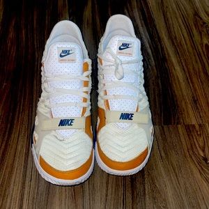 Lebron James sneakers